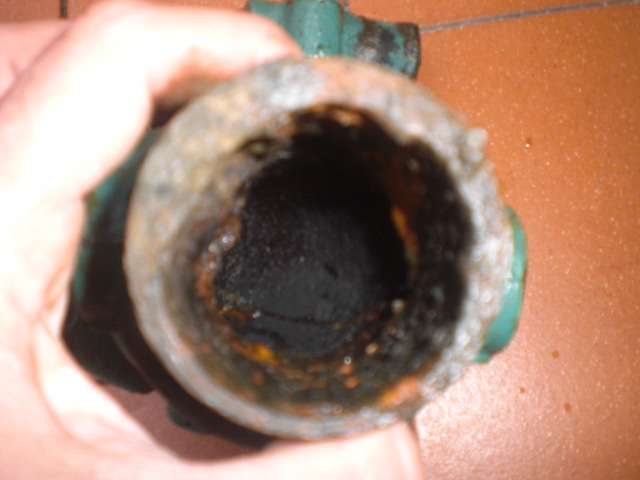 [Immagine: 201211511476_CIMG0024.JPG]
